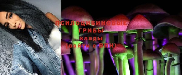 бутират Лабытнанги