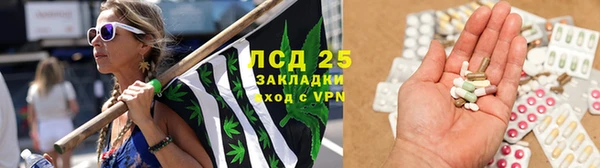 амф Ладушкин