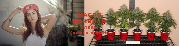 амф Ладушкин