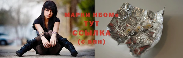 амф Ладушкин