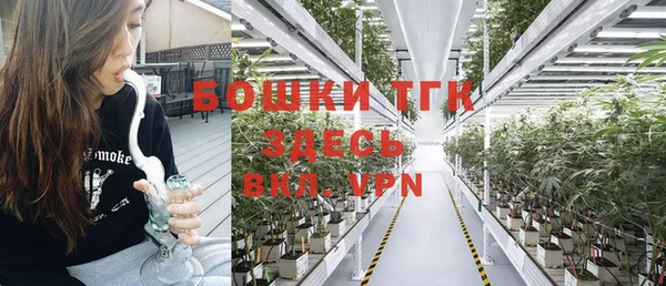 амф Ладушкин