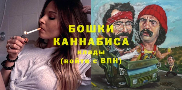 амф Ладушкин