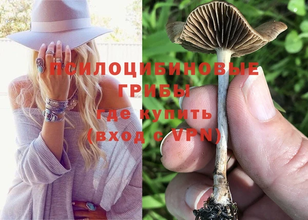 амф Ладушкин