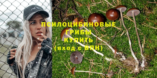 амф Ладушкин